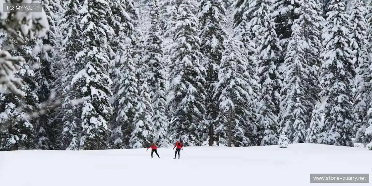 ⚽️ 赛事盛宴，激情永不落幕！